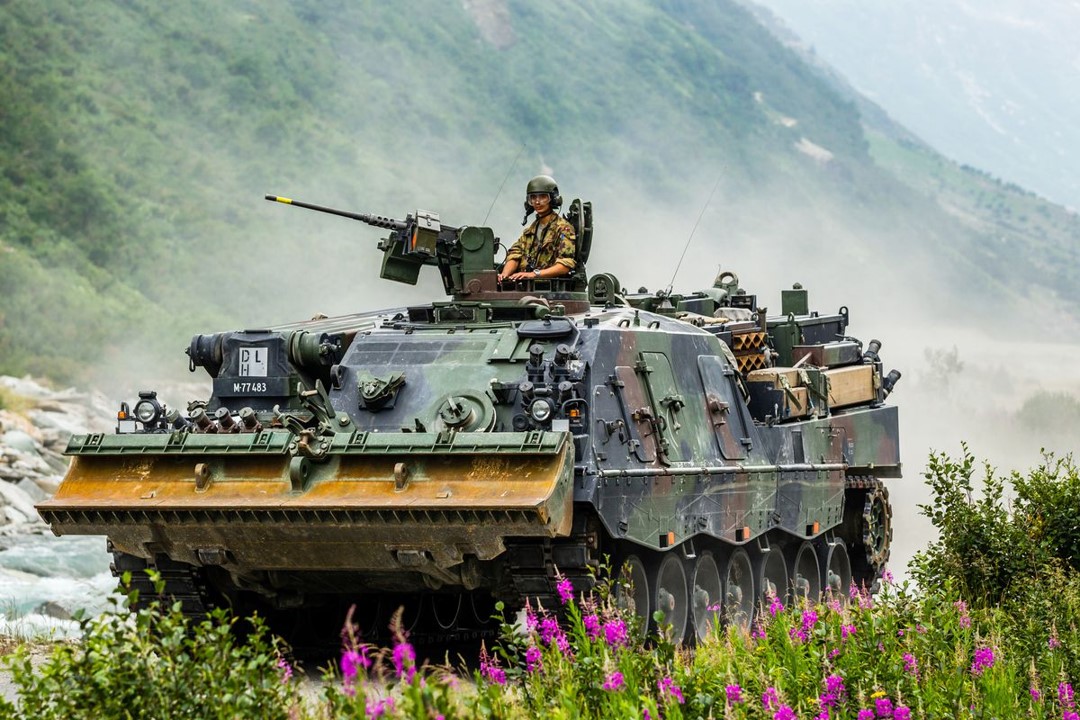 Buffalo 3 German Armored Recovery Vehicle (F)